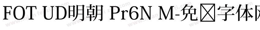 FOT UD明朝 Pr6N M字体转换